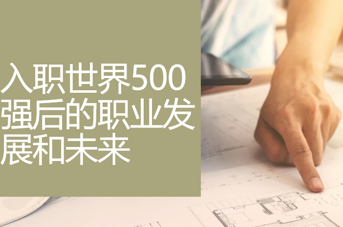 入职世界500强后的职业发展和未来