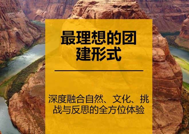 你心中最理想的团建形式是怎样的？